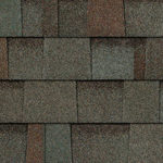 Oakridge in Woodland Path